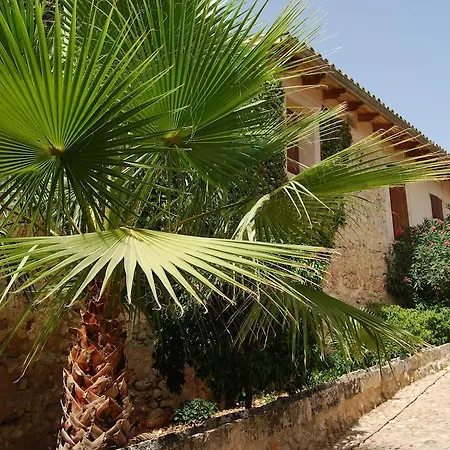 Finca Son Vivot Room photo