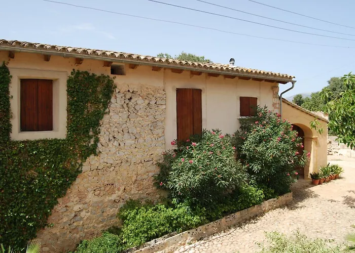 Finca Son Vivot